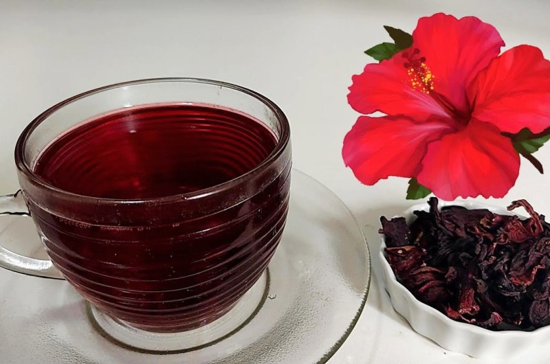 Chá de Hibisco